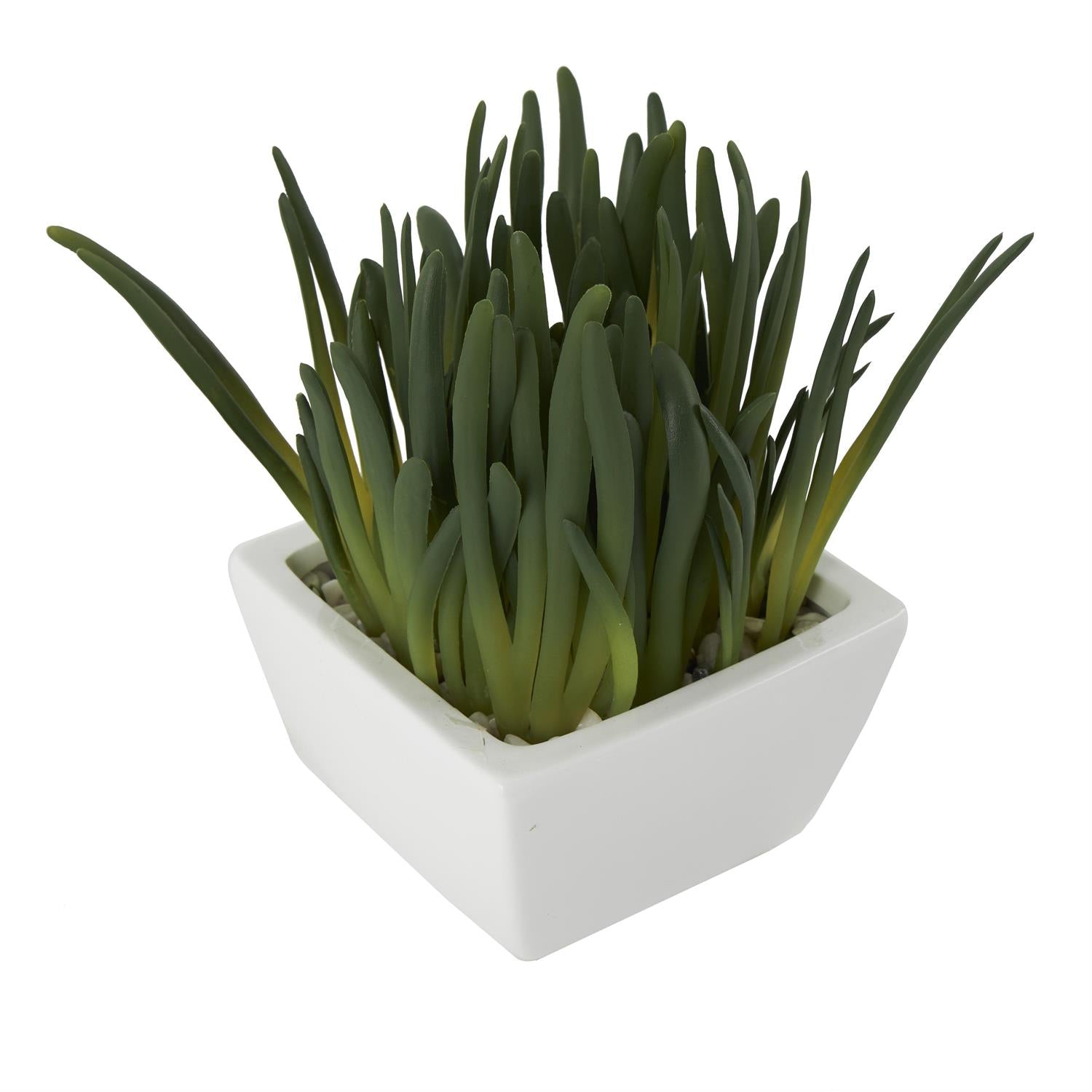Cer Plastic Berrganthus Decor 8"W, 8"H
