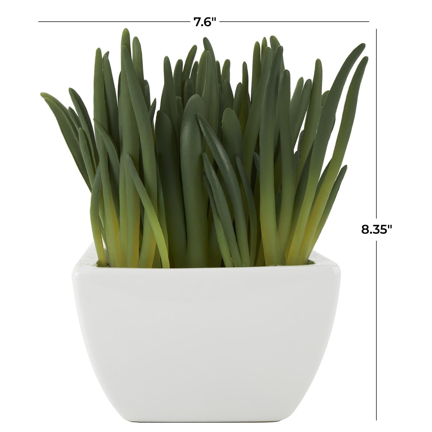 plastic decorative plants Cer Plastic Berrganthus Decor 8"W, 8"H