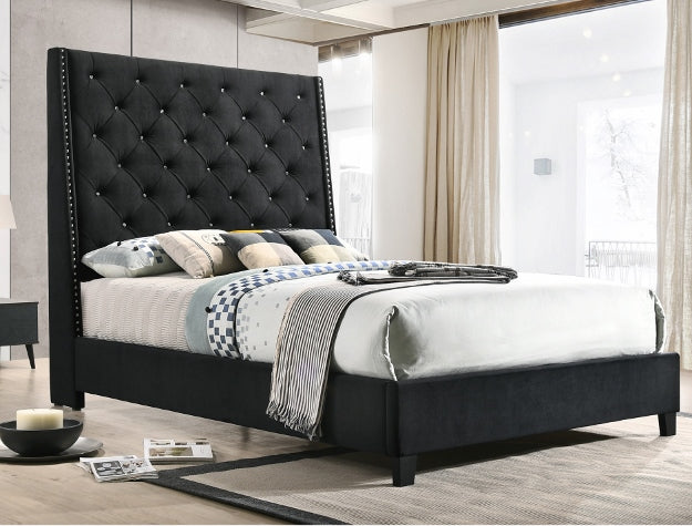 Chantilly FB, RAIL & WING King Black Velvet